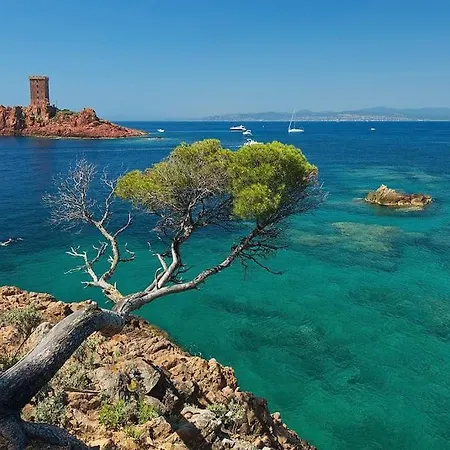 Avec Jardin, Piscine, Plage, Tennis Apartment Frejus