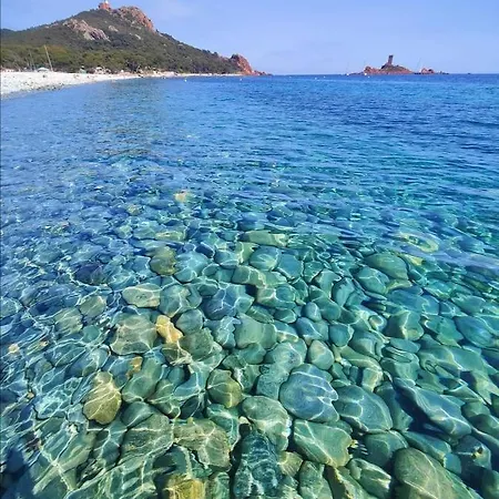 Avec Jardin, Piscine, Plage, Tennis Fréjus
