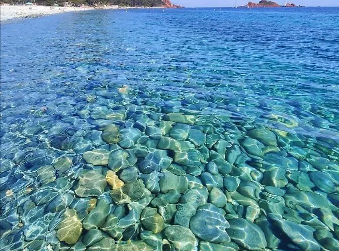 Avec Jardin, Piscine, Plage, Tennis Fréjus